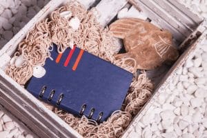 Notebooks erasing and syncing notes to the cloud