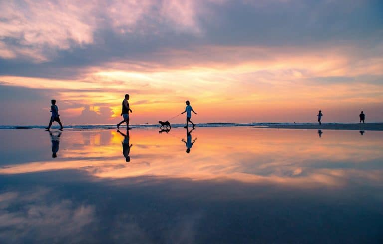 Eco-Lodges for Low-Impact Travel