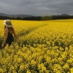 Food Festivals That Bring Cultures Together