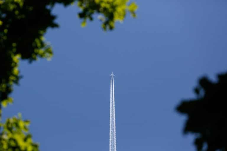 National Park Adventures for Wildlife Lovers