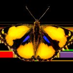 Plant sensors ensuring houseplants thrive