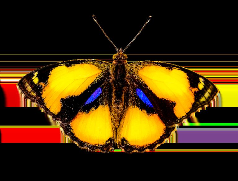 Plant sensors ensuring houseplants thrive