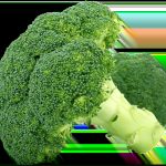 Food Photography Tips for Social Media Success