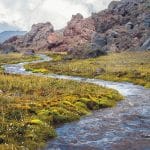 Family-Friendly Airlines With Great Perks