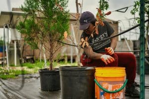Sustainable Fashion’s Growing Role in Careers