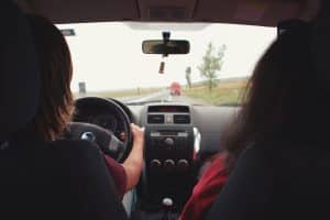 Pet-Friendly Road Trips for the Whole Family