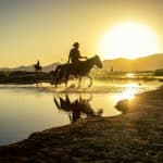 From Horse-Drawn Carriages to Hyperloop: Transportation’s Wild Journey