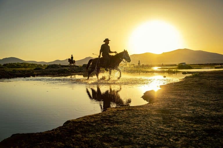 From Horse-Drawn Carriages to Hyperloop: Transportation’s Wild Journey