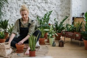 Gardening Centers for Urban Green Thumbs