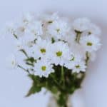 Wedding Registries That Make Gifting Simple