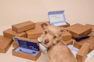 Pet Stores Offering More Than Just Supplies