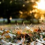 Seasonal Cleaning Checklists for a Fresh Start