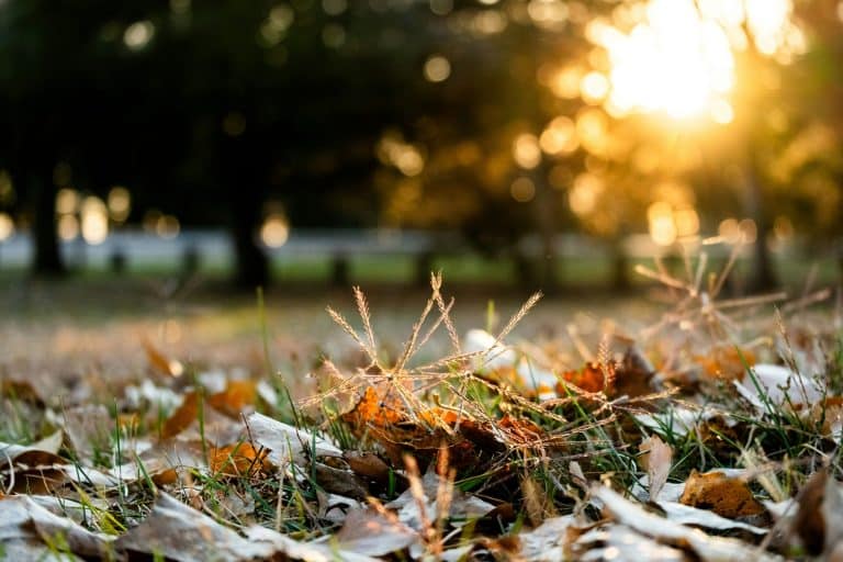 Seasonal Cleaning Checklists for a Fresh Start