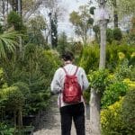 Gardening for Mental Health Benefits