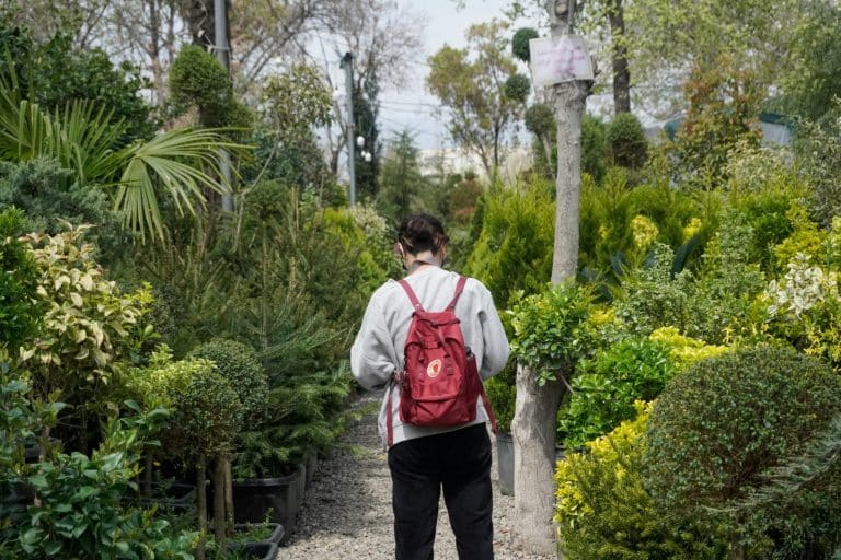 Gardening for Mental Health Benefits